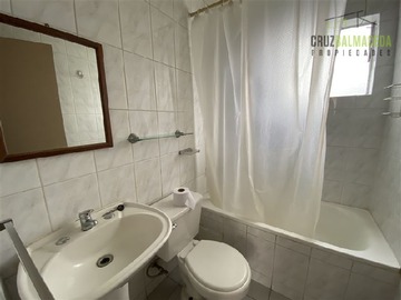 Imagen 7