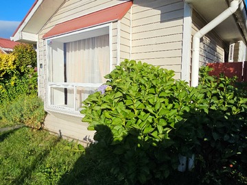 Arriendo Mensual / Casa / Puerto Varas