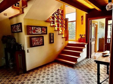 Imagen 7