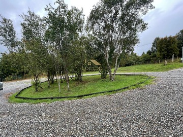 Imagen 9