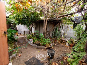Imagen 22