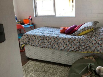 Imagen 15