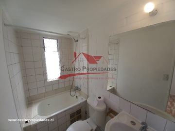 Imagen 11