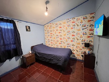 Imagen 5