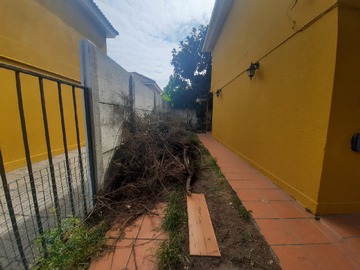 Imagen 20