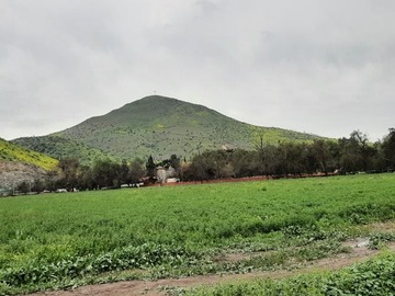 Arriendo Mensual / Casa / Quilicura