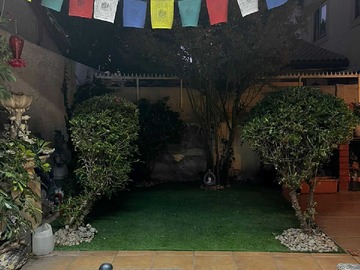 Imagen 6