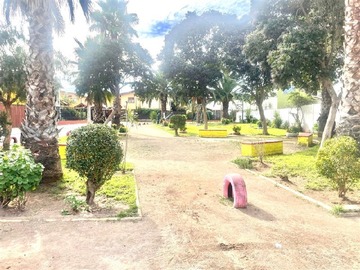 Imagen 15