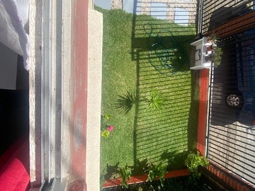 Imagen 18