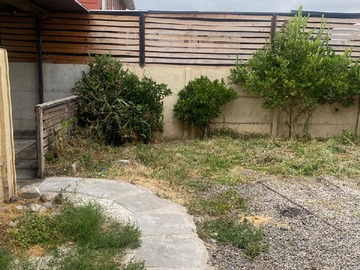 Imagen 14