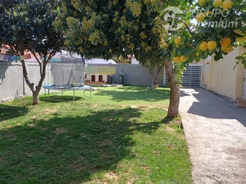 Imagen 8