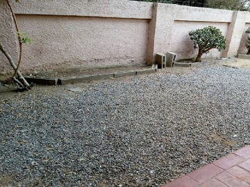 Imagen 11