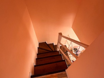Imagen 11