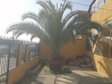 Arriendo Mensual / Casa / Quilpué