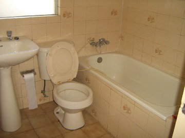 Imagen 7