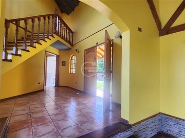 Imagen 7