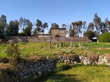 Imagen 6