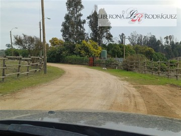 Imagen 31