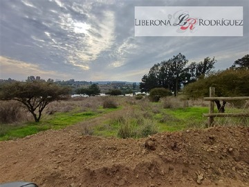 Imagen 29