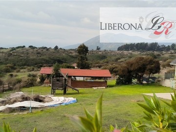 Imagen 19