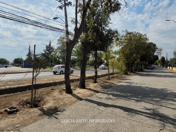 Imagen 11