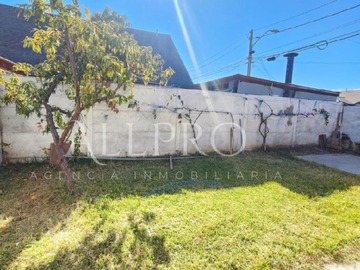 Imagen 5