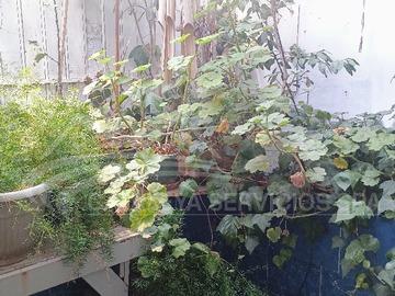 Arriendo Mensual / Casa / San Bernardo
