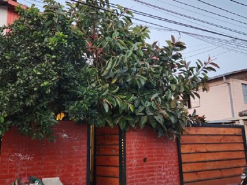 Arriendo Mensual / Casa / San Bernardo