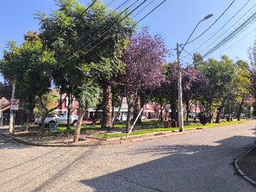 Arriendo Mensual / Casa / San Bernardo