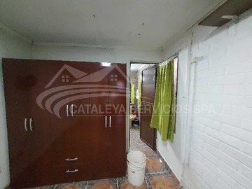 Imagen 3