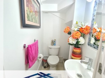 Imagen 12