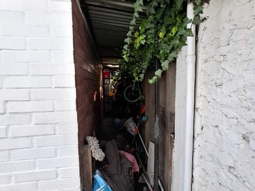 Imagen 19