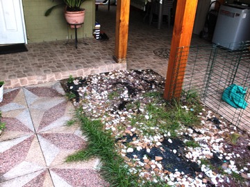 Imagen 10