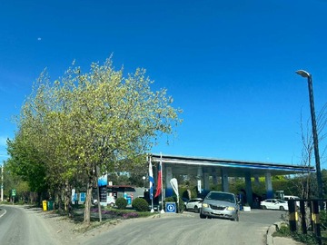 Imagen 22