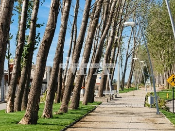 Imagen 11