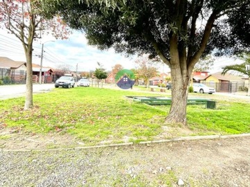 Imagen 13