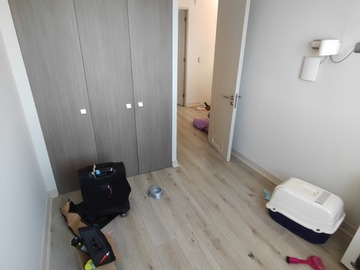 Imagen 5