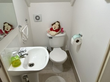 Imagen 12