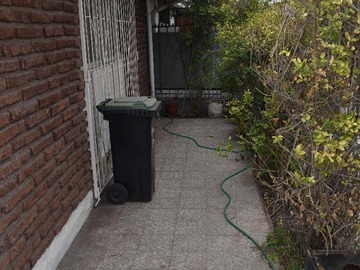 Imagen 5