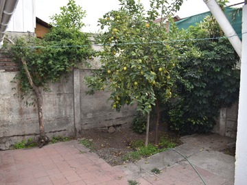 Imagen 37