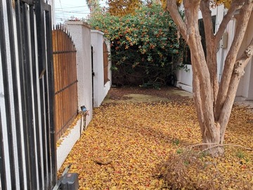 Imagen 9