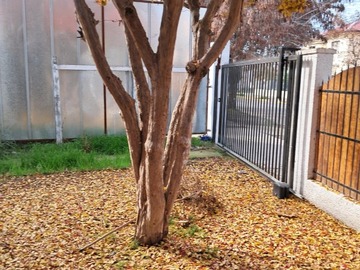 Imagen 8