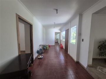 Imagen 6