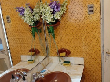 Arriendo Mensual / Casa / Santiago