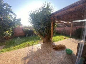 Imagen 8