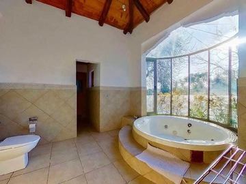 Imagen 12