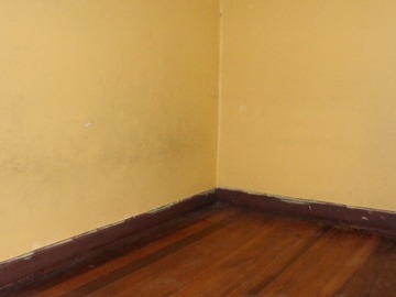 Imagen 13