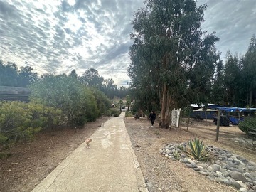 Imagen 28