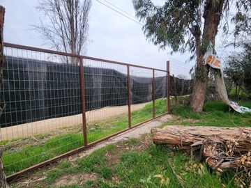Imagen 8