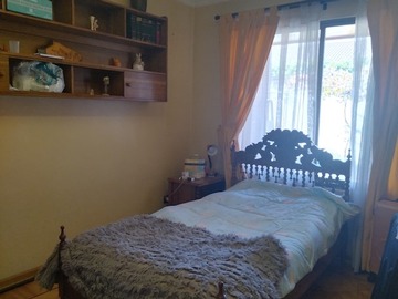 Imagen 9